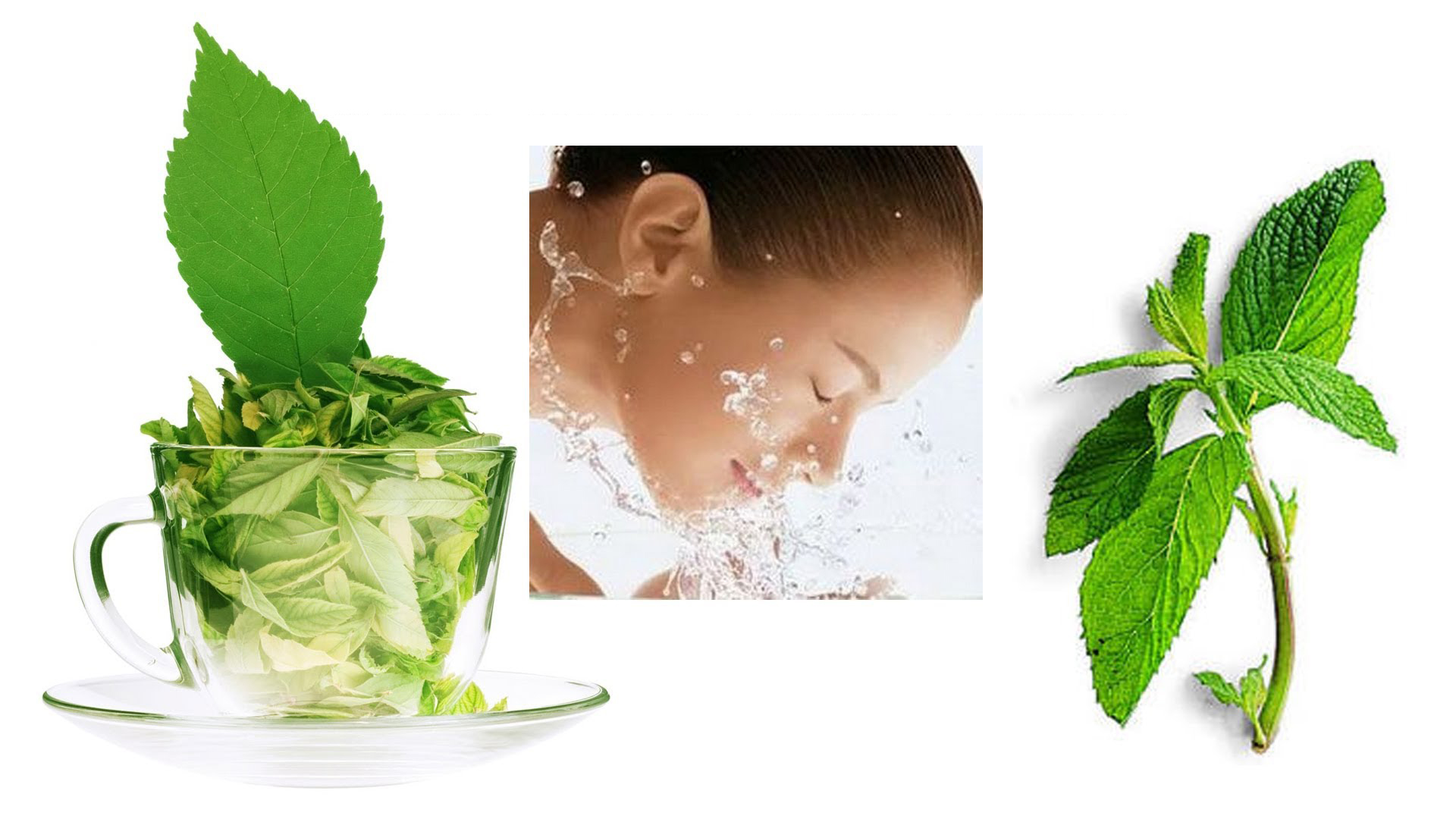 bột mặt nạ bạc hà