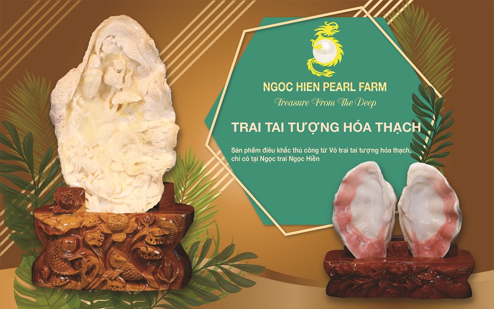 Vỏ Trai Tai Tượng Hóa Thạch