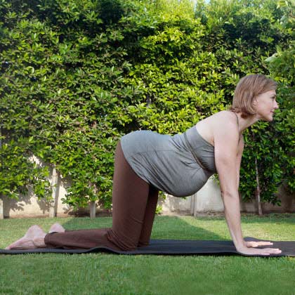 Tư thế yoga giúp rèn luyện cột sống