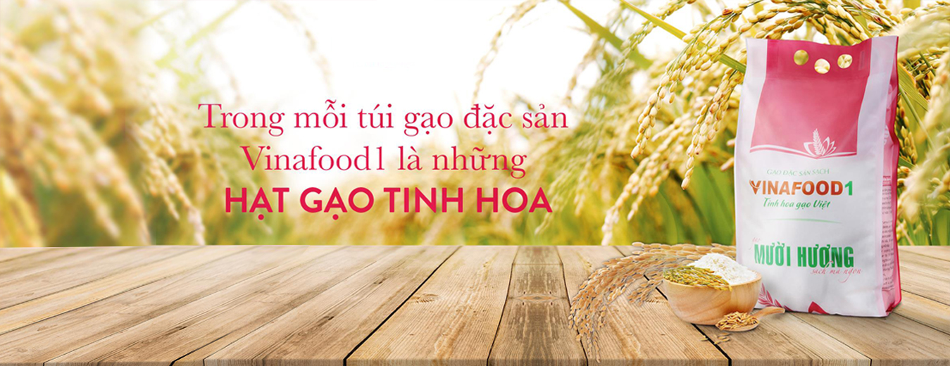 CHI NHÁNH TỔNG CÔNG TY LƯƠNG THỰC MIỀN BẮC