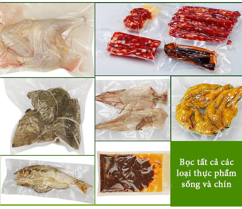 Máy hút chân không DZ 500