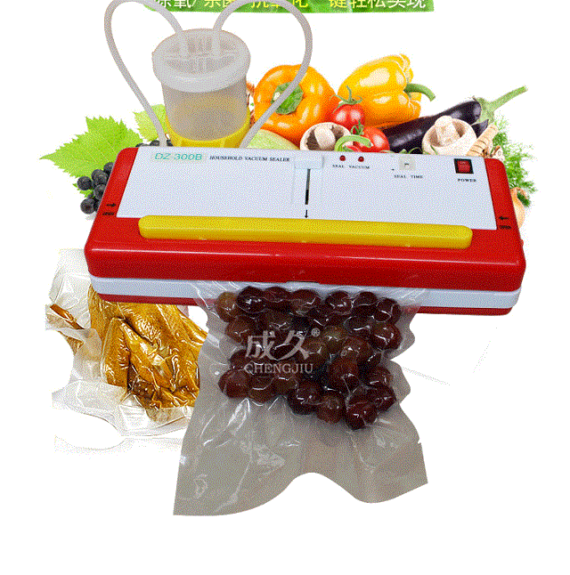 Máy hút chân không DZ300B