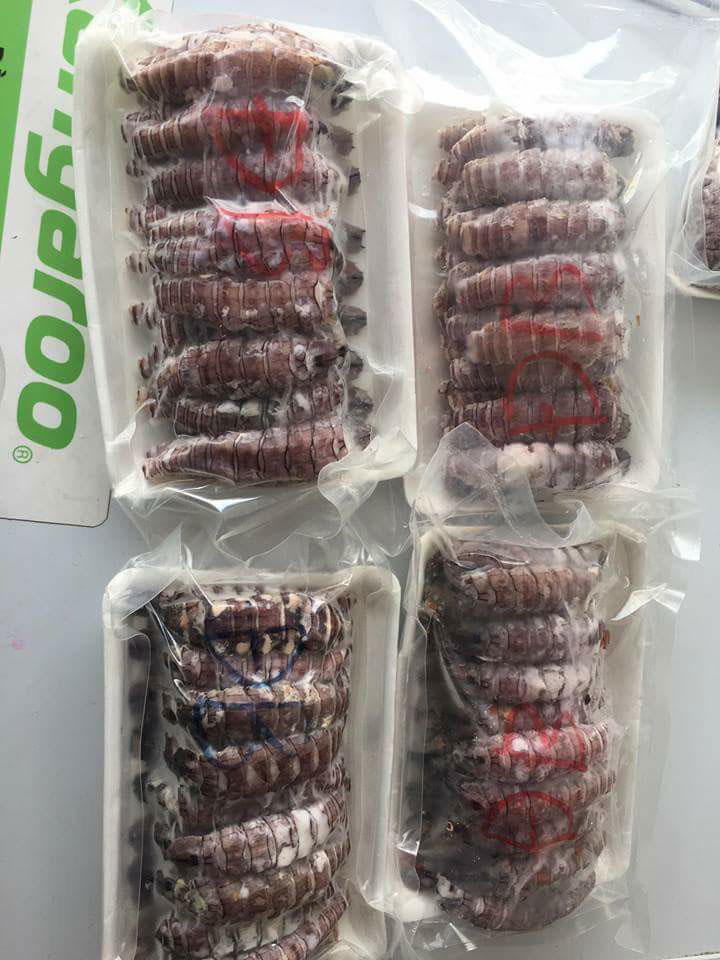 Bảo quản hải sản đông lạnh bằng máy hút chân không là cách của nhiều hộ kinh doanh đang áp dụng