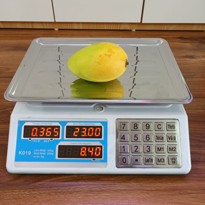 Cân điện tử tính tiền 40Kg