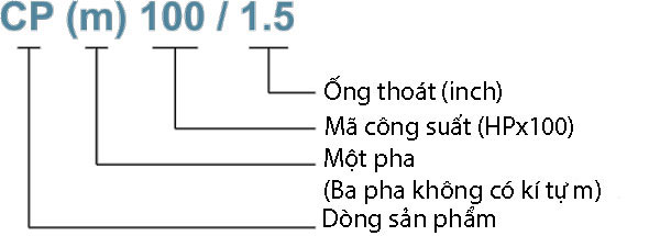 bơm điện trục ngang CP