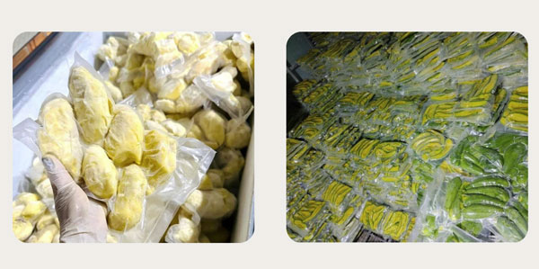 Bảo quản sầu riêng và bơ bằng máy hút chân không