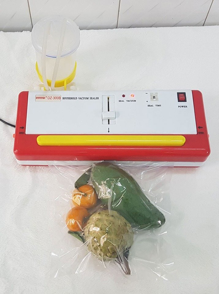 Máy hút chân không gia đình DZ300B