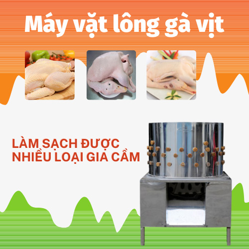 Máy vắt lông gia cầm làm sạch được nhiều loại lông