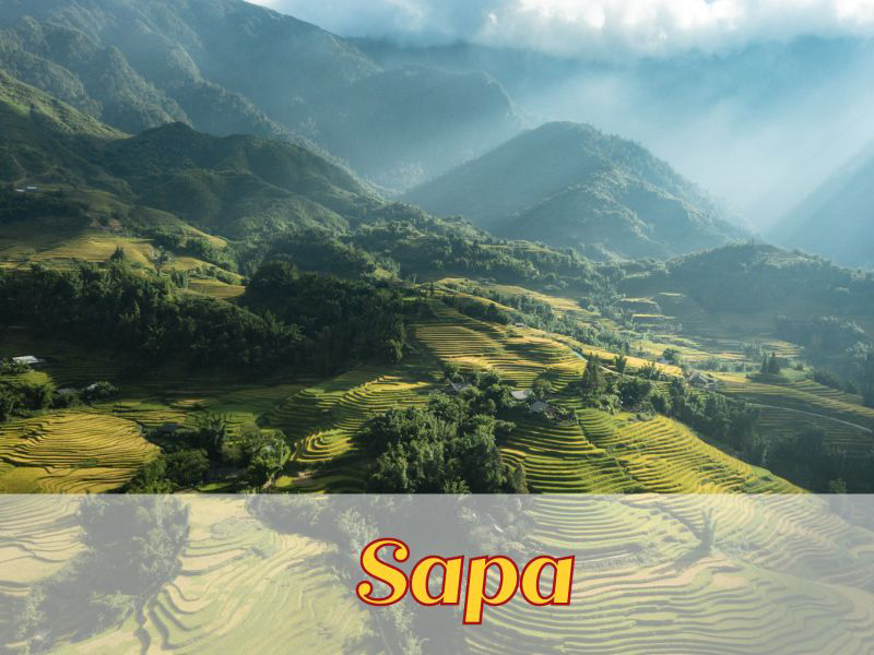 Sapa