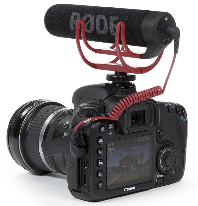 Rode VideoMic GO