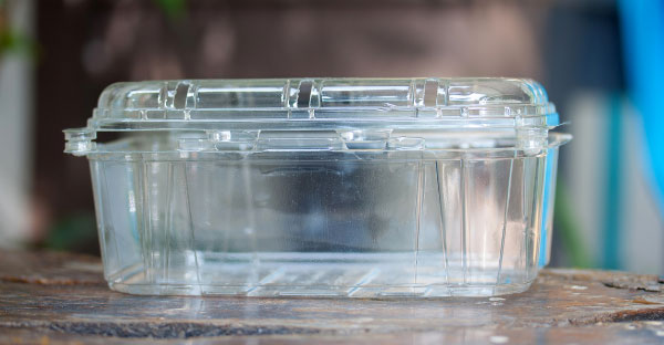 hộp nhựa 1 lần