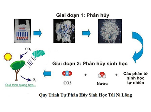 phân hủy sinh học