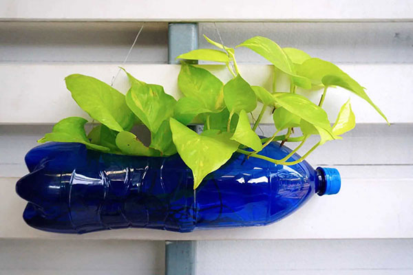 tái chế vỏ chai nhựa