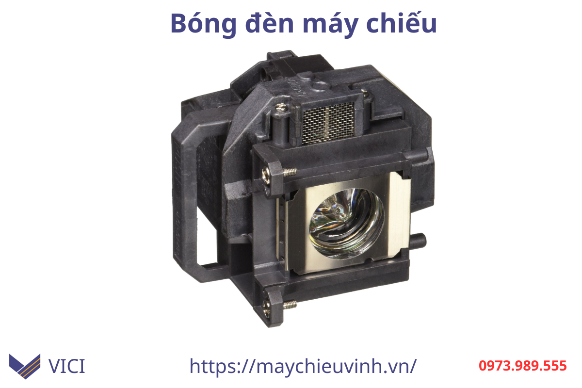 bóng đèn máy chiếu