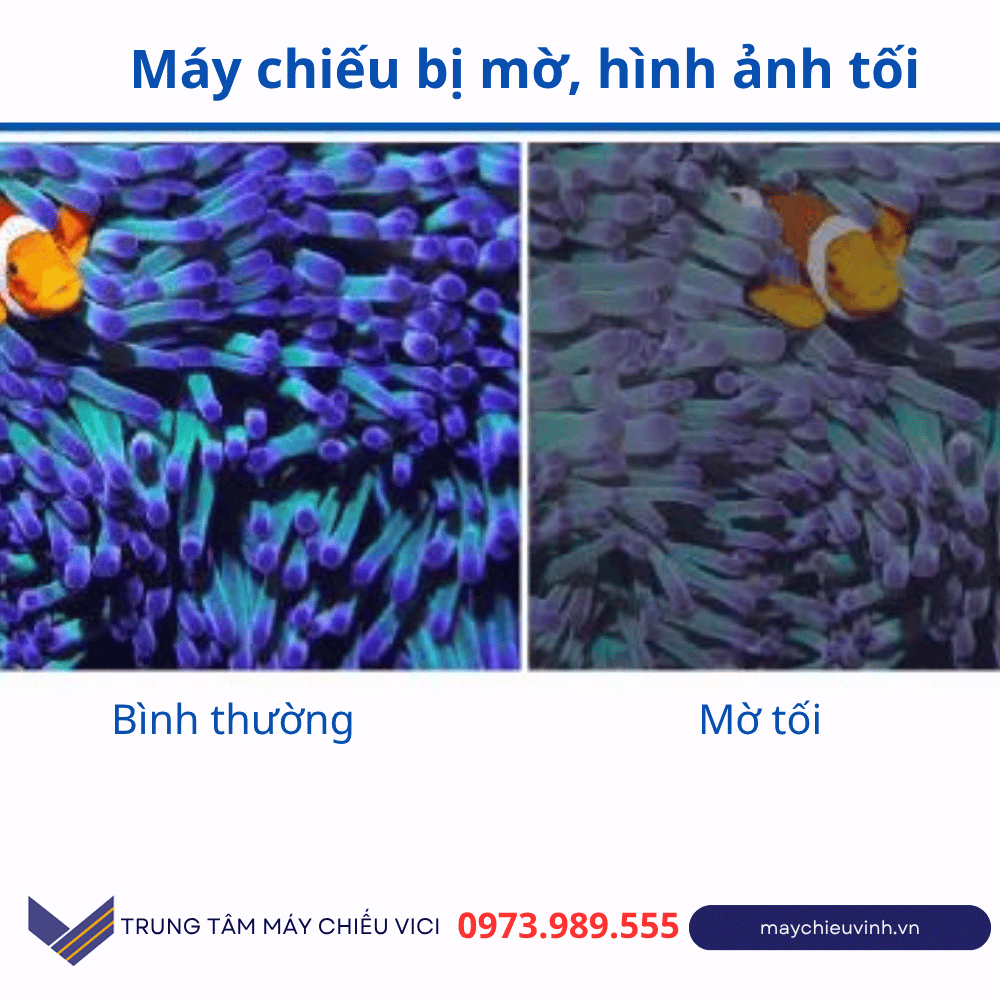hình ảnh máy chiếu bị mờ, nhạt màu