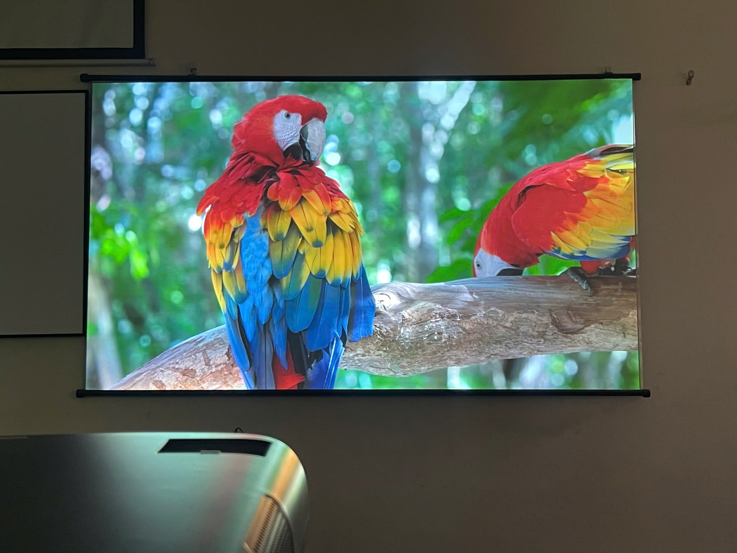 Máy chiếu phim 4K