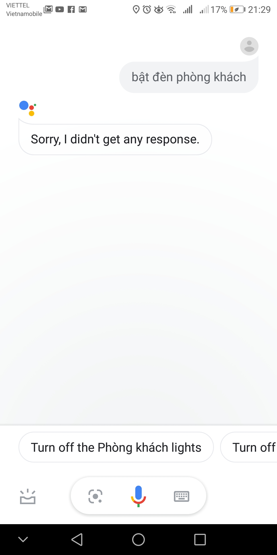 google-assistant