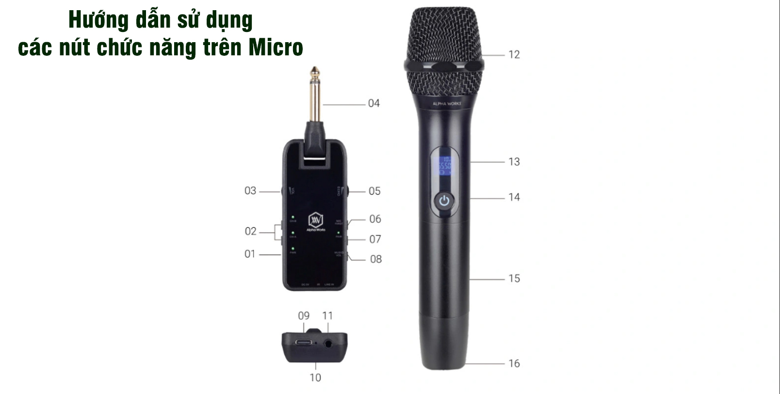 Micro không dây ALPHA WORKS D2 hướng dẫn sử dụng