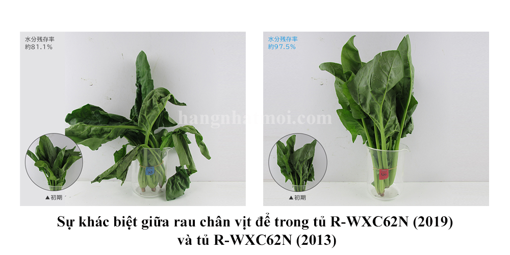 Tủ Lạnh HITACHI R-WXC62N