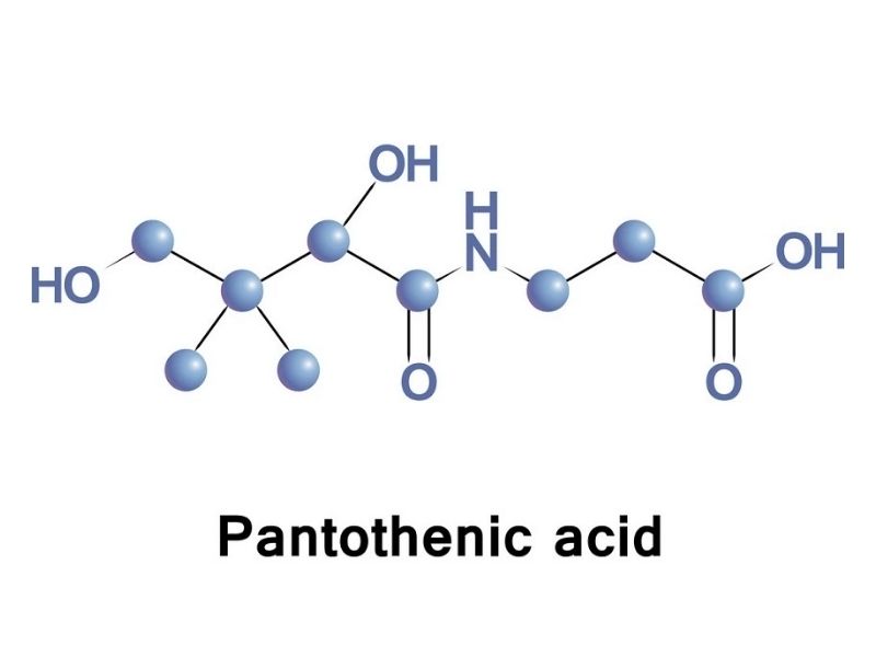 vitamin b5 la gi 1
