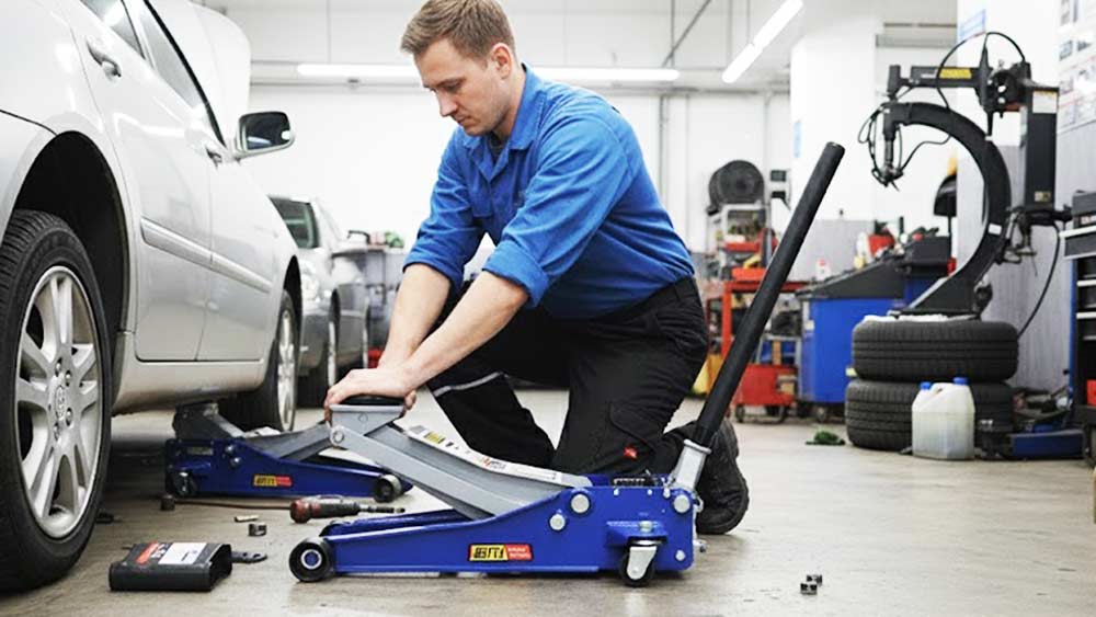 hình ảnh kích đội cá sấu