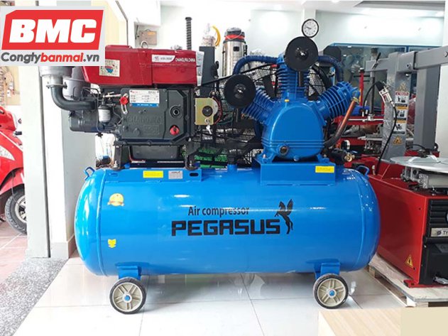 máy nén khí đầu nổ D24 20HP Pegasus TM-w-2.0/12.5-500l/20hp