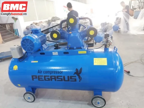 Máy Nén Khí 4Hp Pegasus TM-W-0.36/8-330L(380V)