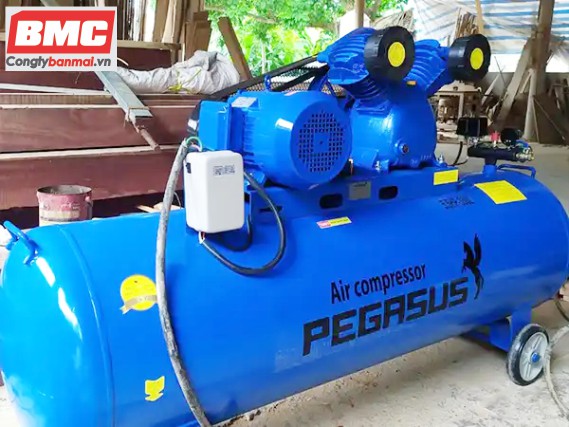 Máy nén khí 5,5 HP Pegasus TM-W-0.6/8-330L