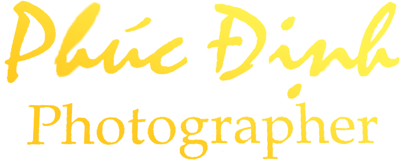 Phucdinh.com