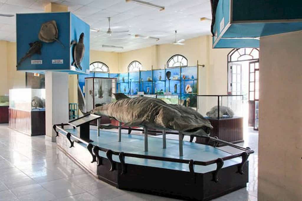 Viện hải dương học nha trang