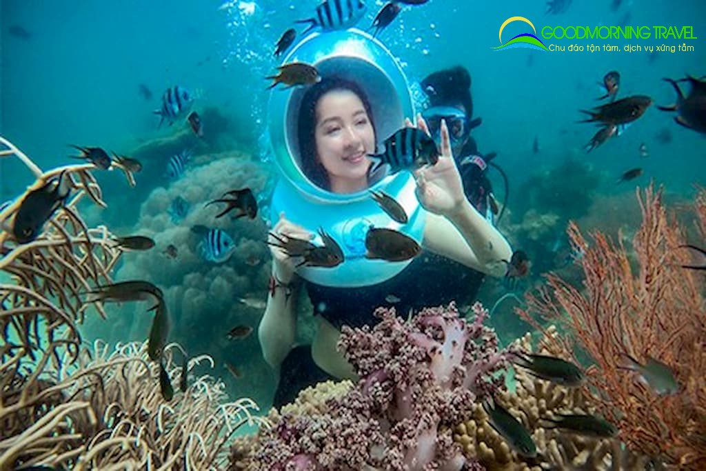 Tour 4 đảo Nha Trang