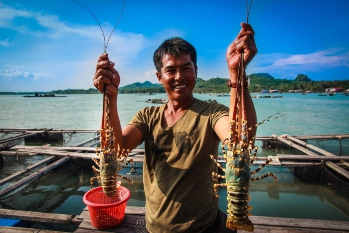 Tour 3 đảo Nha Trang