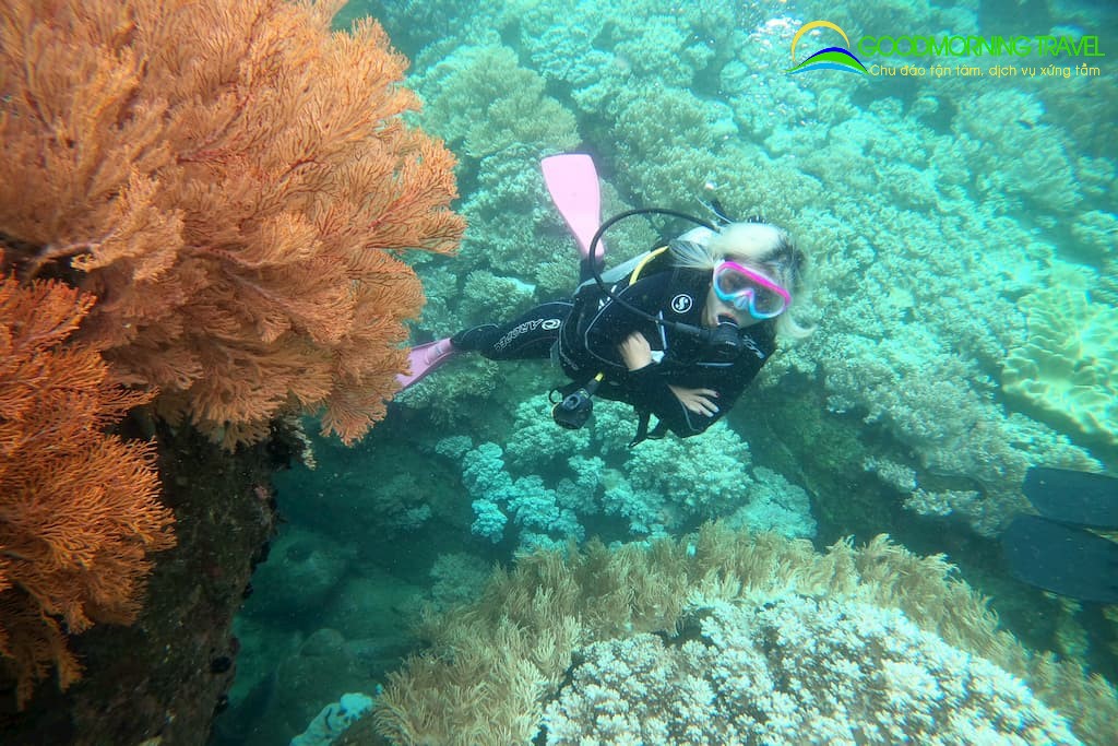 Tour 4 đảo Nha Trang