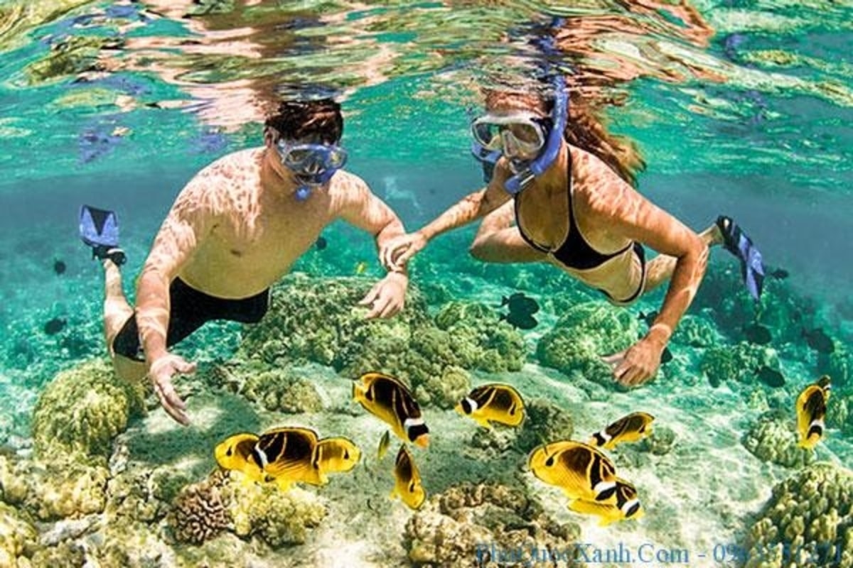 Lặn biển trong tour 4 đảo Nha Trang