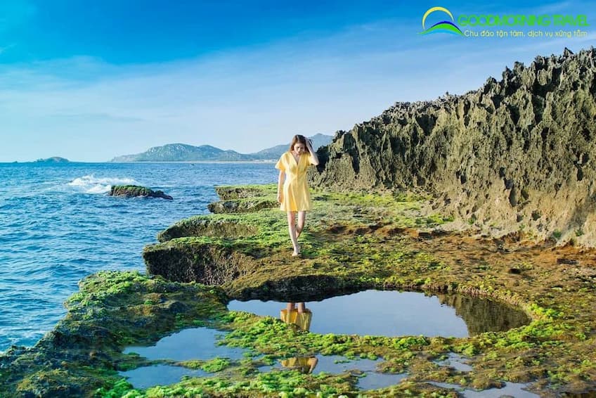 Tour du lịch Nha Trang - Ninh thuận 1 ngày