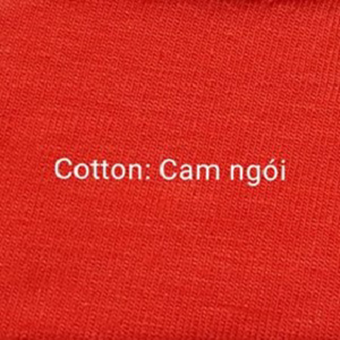 Cotton Cam ngói