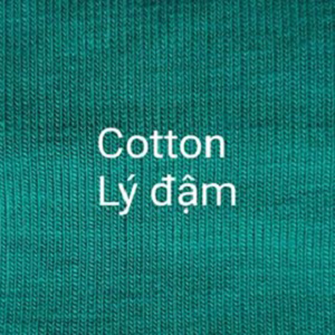 Cotton Lý Đậm