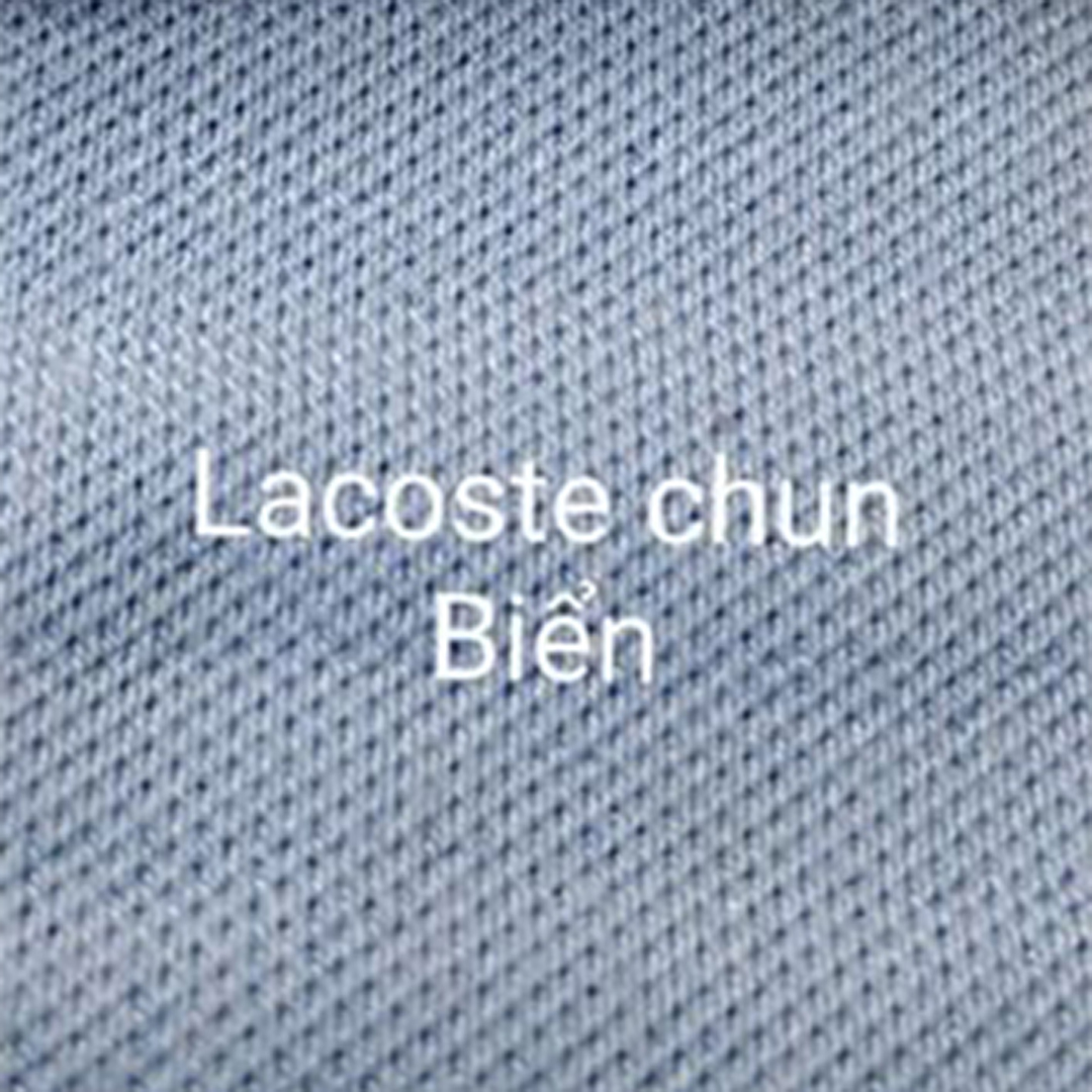 Lacoste chun biển