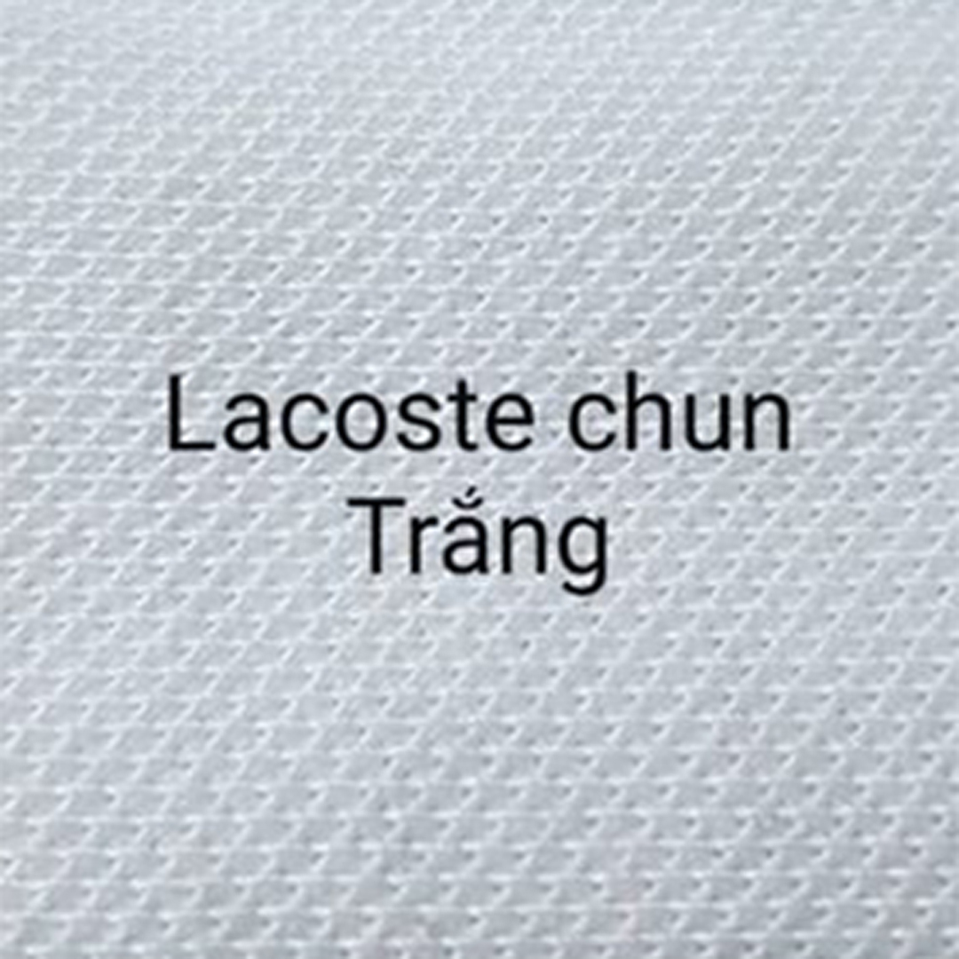 Lacoste chun Trắng