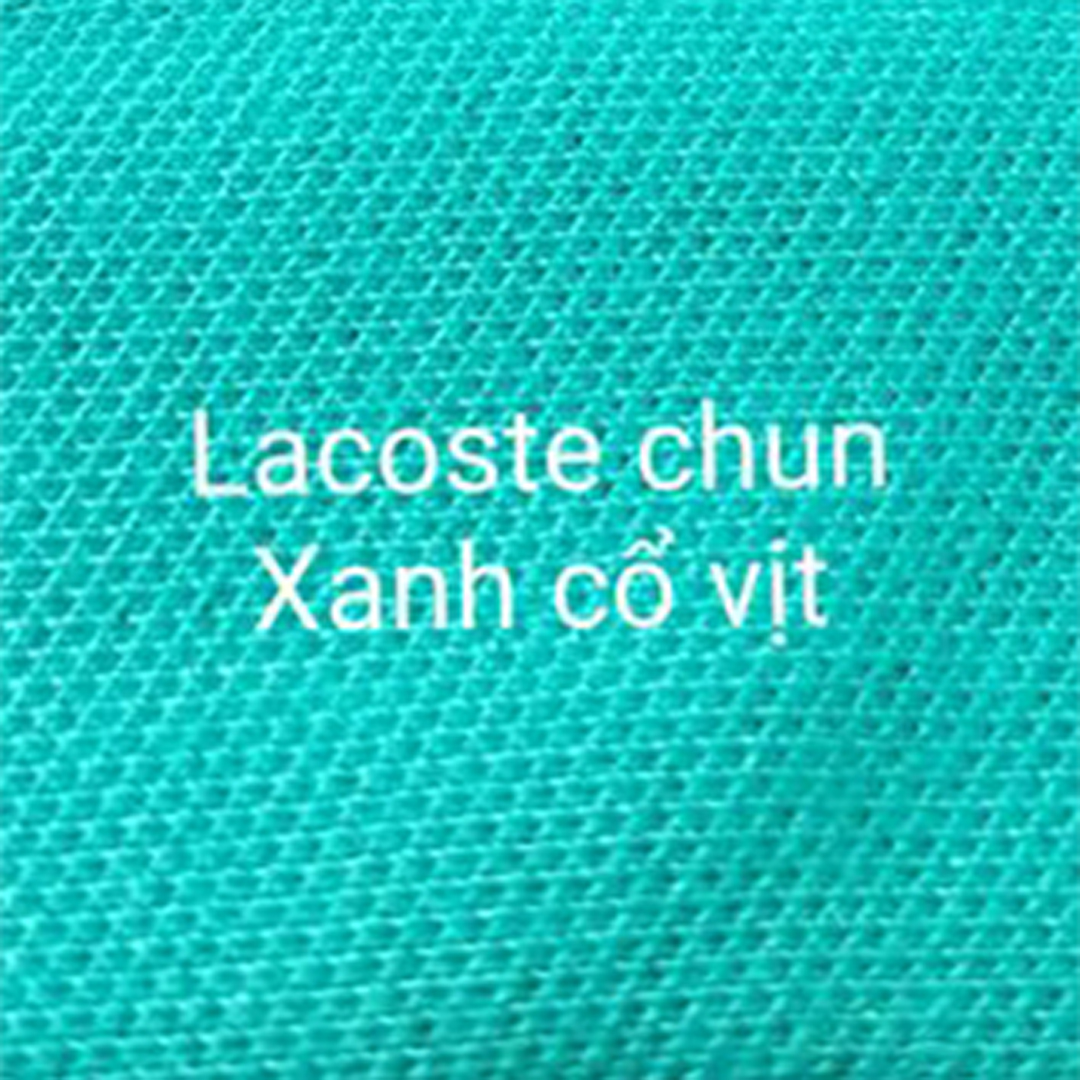 Lacoste chun Xanh cổ vịt