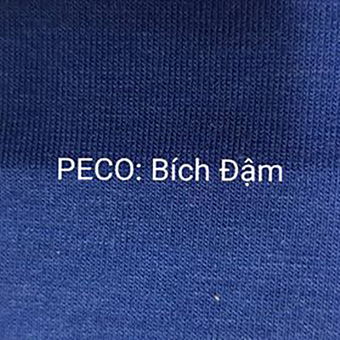 PECO bích đậm