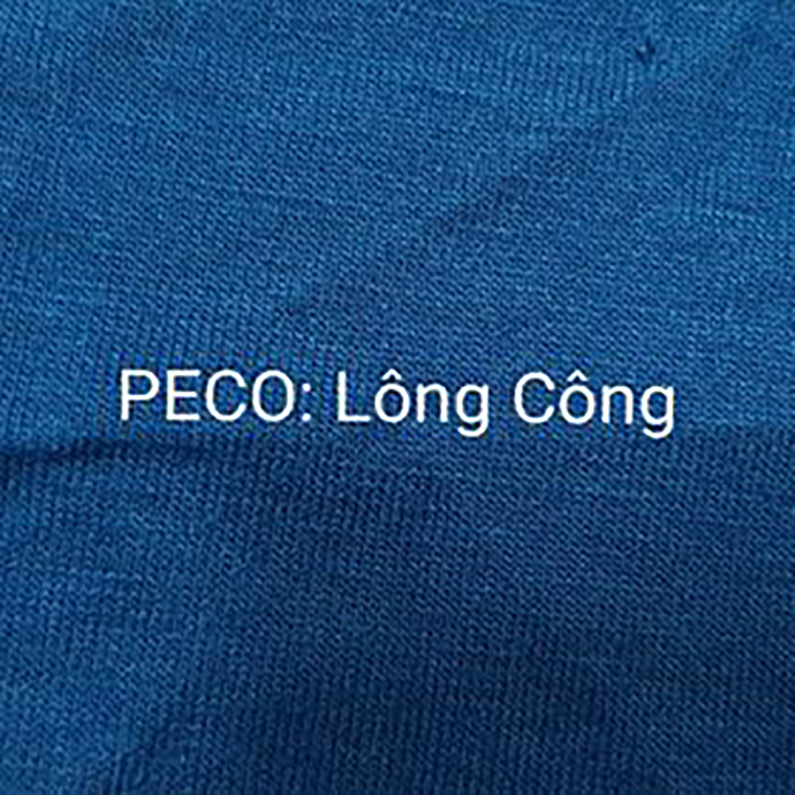 PECO lông công