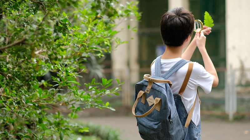 balo nữ cấp 2; cặp hs cấp 2; cặp sách đẹp cho học sinh cấp 2; balo học sinh cấp 2; cấp đi học nữ cấp 2 de thương; balo ladoda cấp 2; balo đi học nữ cấp 2 giá rẻ; cặp sách nữ cấp 2 giá rẻ; mẫu cặp đẹp cho học sinh cấp 2; balo nam đi học cấp 2; balo đi học cấp 2; cặp đi học nữ cấp 2 cá tính; cặp sách nữ cấp 2; balo đi học nữ cấp 2 màu đen; balo dành cho học sinh cấp 2; balo học sinh cấp 2 thời trang; cặp dành cho học sinh cấp 2; balo đi học nữ cấp 2 cá tính; ba lô học sinh trung học; cặp học sinh cấp 2; balo đi học nam cấp 2;