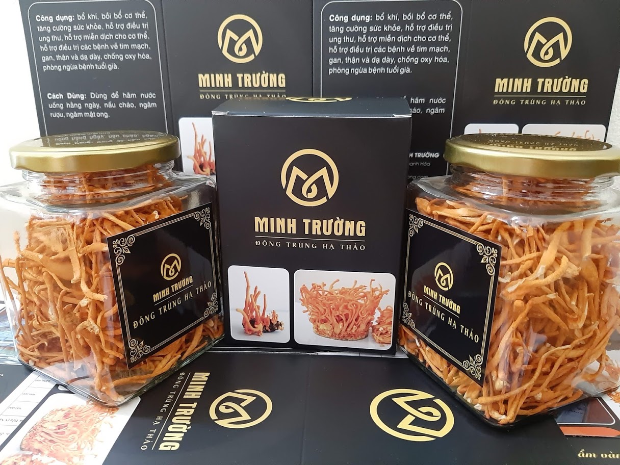 Đông trùng hạ thảo hỗ trợ điều trị bệnh sỏi thận