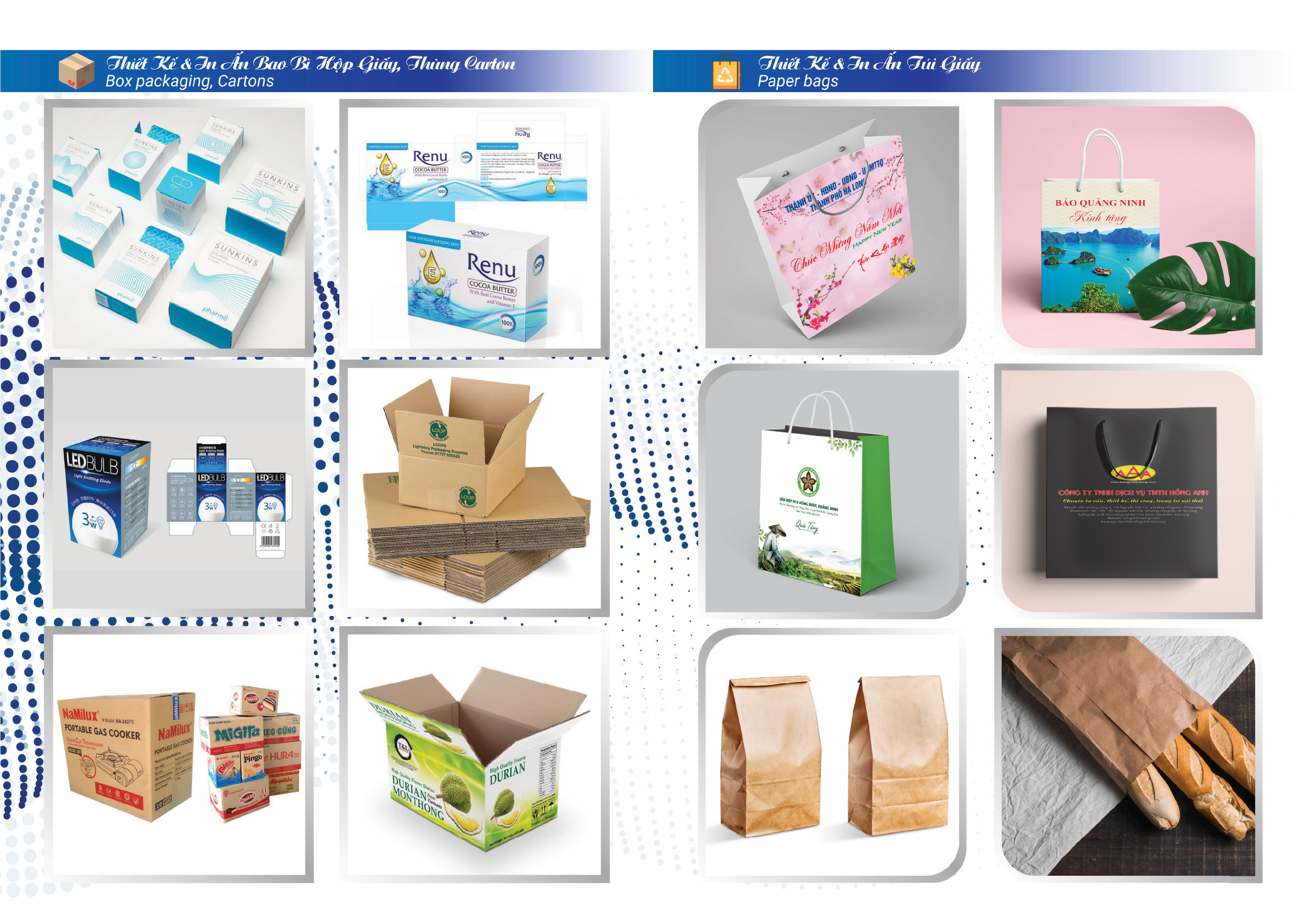 Hồ sơ năng lực công ty Phương Đông Hạ Long