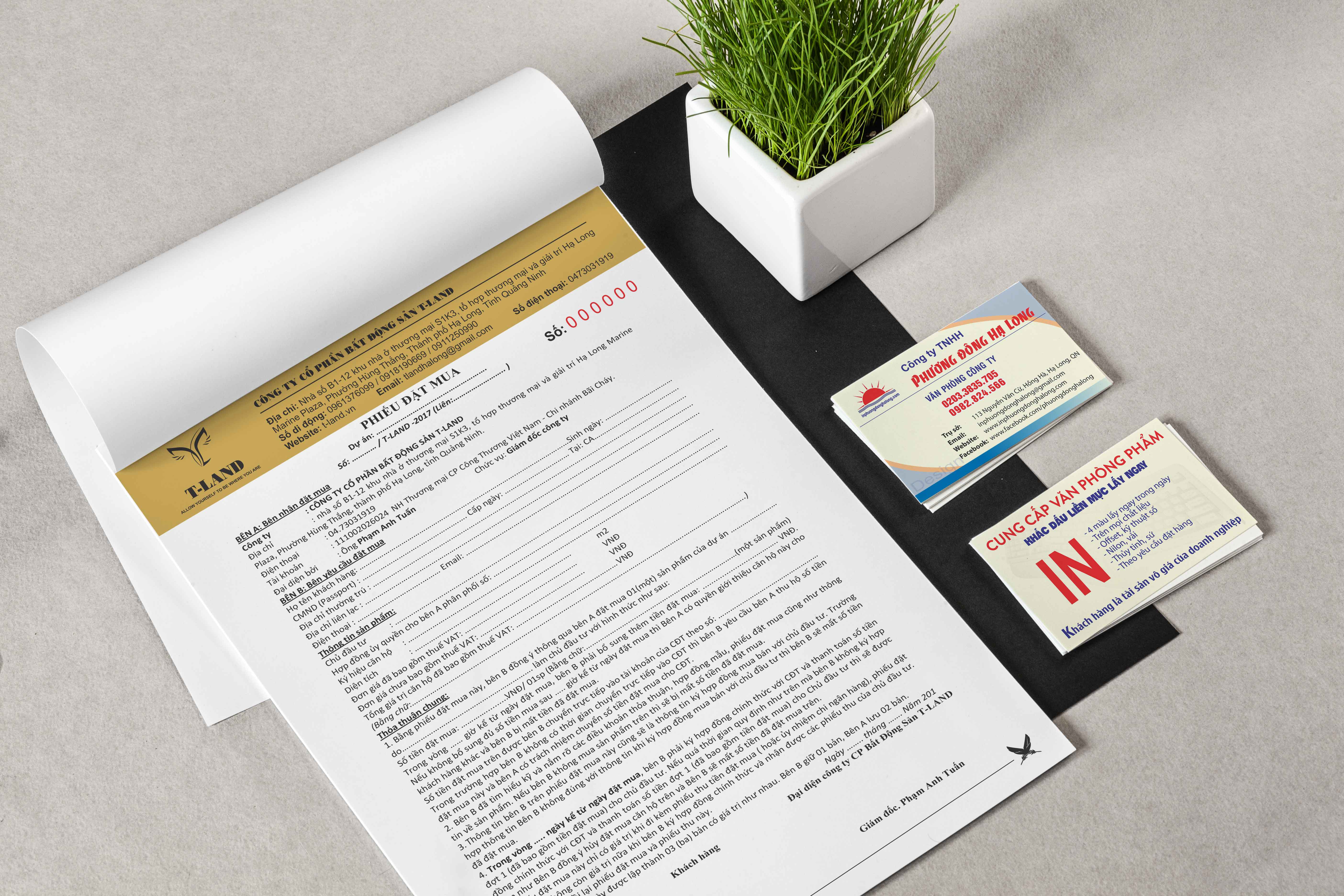 in hoa don ban le ha long,in hoa don ban le quang ninh,in hoa don gia re,in hoa don ban le theo yeu cau,in hoa don ban le lay ngay,in hoa don ban le so luong it,xuong in hoa don ban le ha long,mau hoa don ban le dep,thiet ke hoa don ban le,in hoa don 2 lien 3 lien,in hoa don giay carbonless,in hoa don giay ford,in hoa don ban le cho shop,hoa don ban le mini,hoa don ban le cho nha hang,hoa don ban le khong can dong dau,hoa don ban le gia re tai ha long,hoa don ban le in mau,hoa don ban le kich thuoc a5,a6,hoa don ban le theo nganh nghe,in hoa don ban le cho dai ly,in hoa don ban le nhanh,chuyen in hoa don ban le tai quang ninh,in hoa don ban le cho cua hang,in hoa don