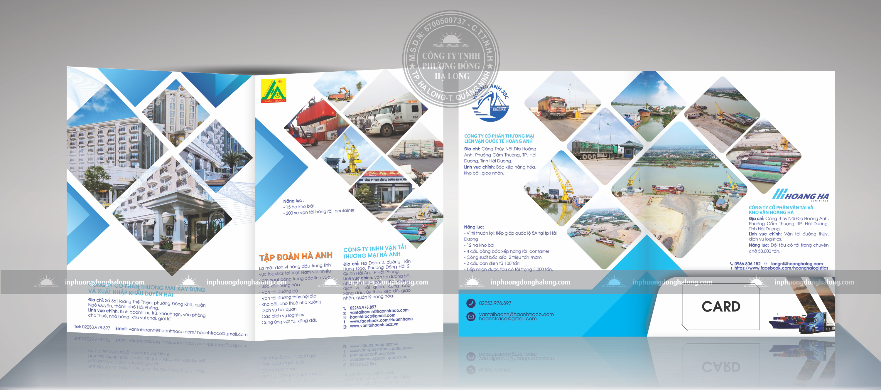 in kẹp file giá rẻ tại Hạ Long, mẫu thiết kế kẹp file A4 chuyên nghiệp, kẹp file công ty Phương Đông Hạ Long, dịch vụ in ấn kẹp file chất lượng cao, bìa kẹp hồ sơ doanh nghiệp đẹp, thiết kế kẹp file vector theo yêu cầu, in kẹp file offset số lượng lớn, mẫu kẹp file có tai cài card visit, kẹp file giấy Couche cán mờ sang trọng, xưởng in kẹp file uy tín ở Quảng Ninh, báo giá thiết kế và in kẹp file trọn gói, kẹp file đựng tài liệu hội thảo, mẫu bìa kẹp hồ sơ cho công ty xây dựng, in kẹp file lấy nhanh tại Hạ Long, thiết kế kẹp file sáng tạo cho spa, kẹp file giấy mỹ thuật cao cấp, quy trình in kẹp file offset chuẩn, hình ảnh sản phẩm kẹp file đã hoàn thiện, tư vấn chọn chất liệu in kẹp file phù hợp