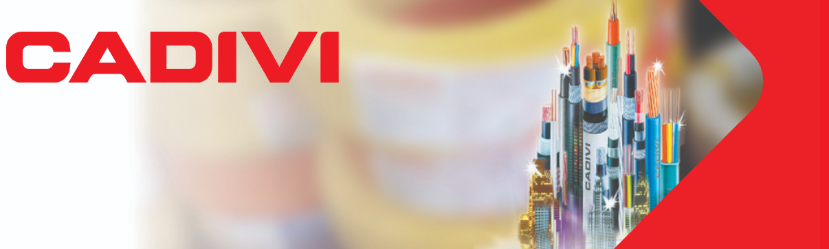 Dây điện cvv cadivi