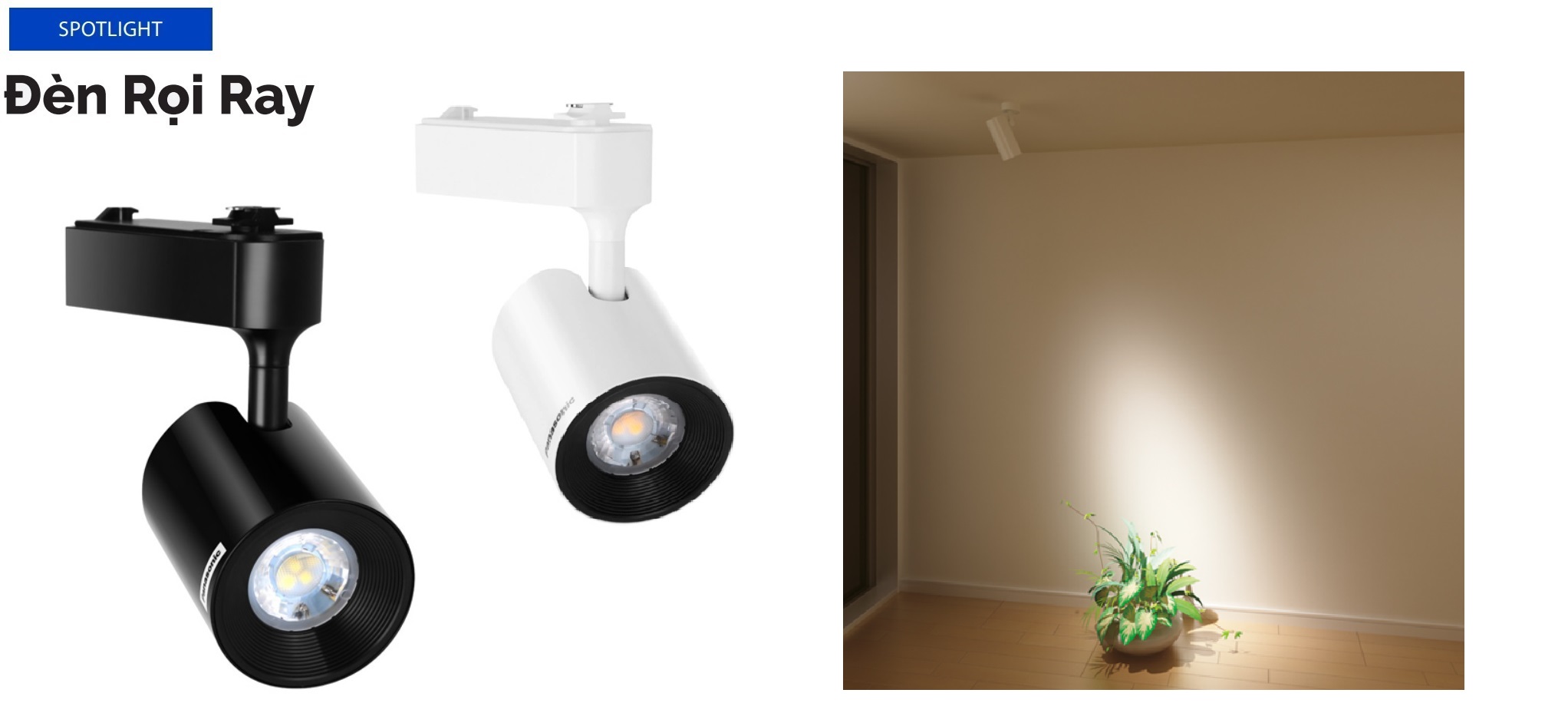 dèn rọi ray