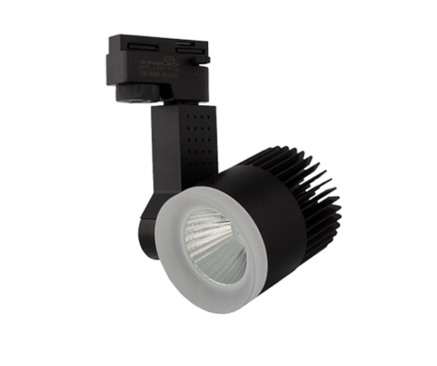 den-ray-roi-diem-30w-vo-den-4000k-kingled-dtl-30-tt-d